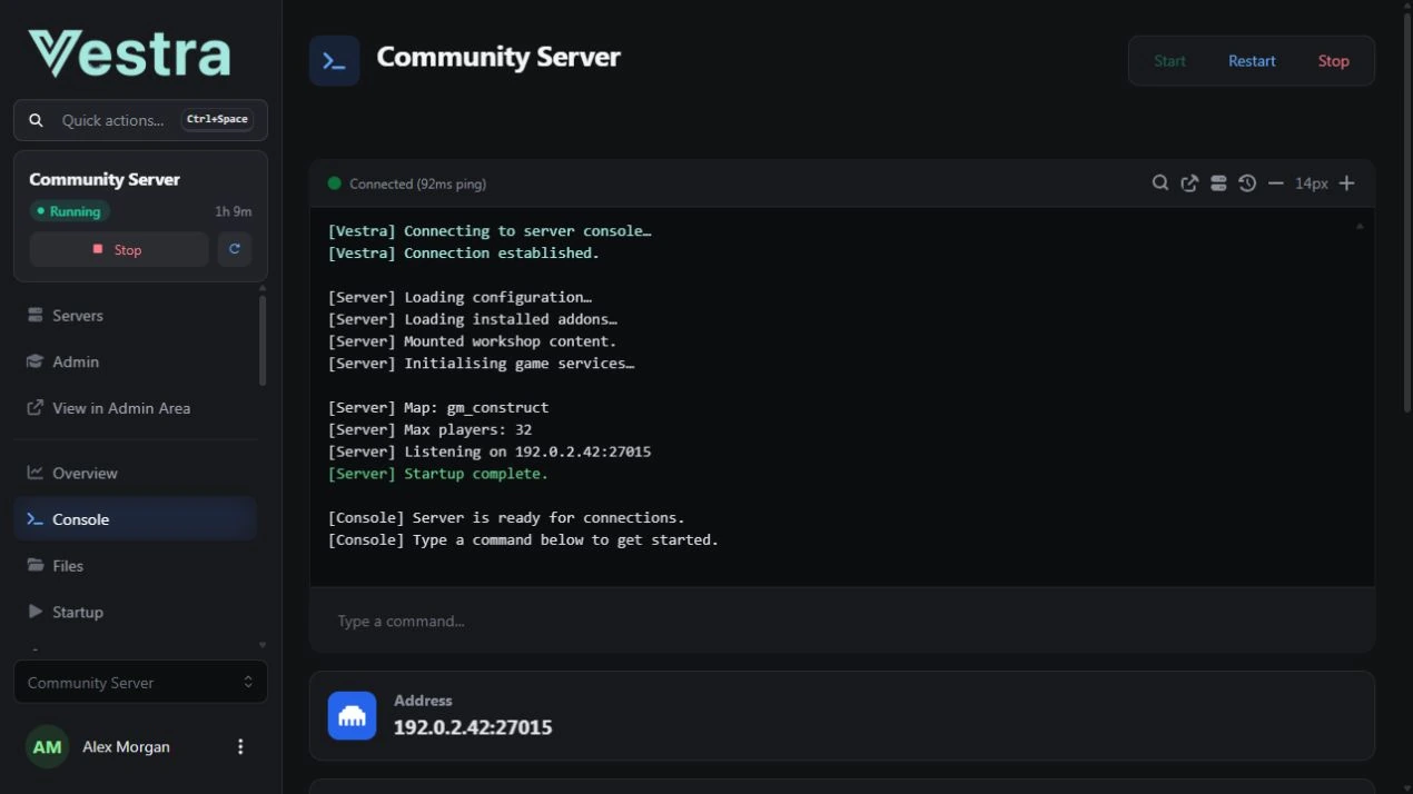 The Vestra server console with server controls, resource information and the panel navigation. Identifying details are replaced with demo data.