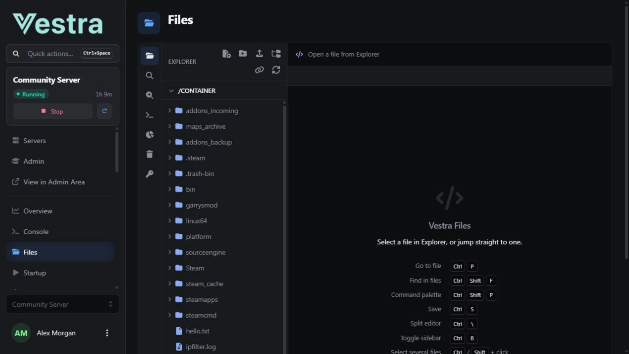 The Vestra file manager, with an Explorer sidebar, search and file management controls. Identifying details are replaced with demo data.